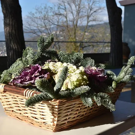 La Trigola Hotell 3*