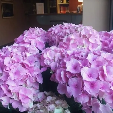 فندق La Trigola 3*