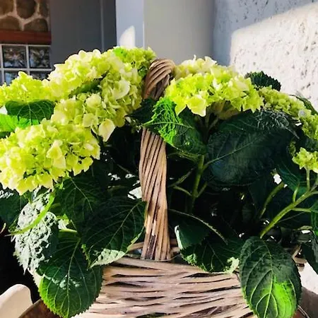 La Trigola ラ・スペツィア