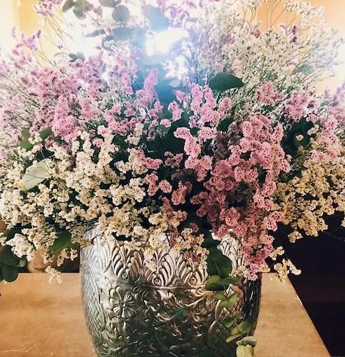 Отель La Trigola Специя